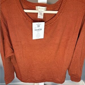 Altar'd State Rust V-Neck Sweater